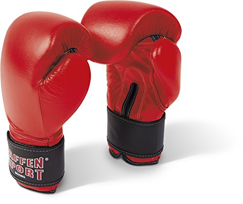 Paffensport-Allround-Boxhandschuh-Boxing-Arts.com.jpeg